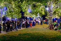 Paris Christmas Tree Lighting 11 18 2023
